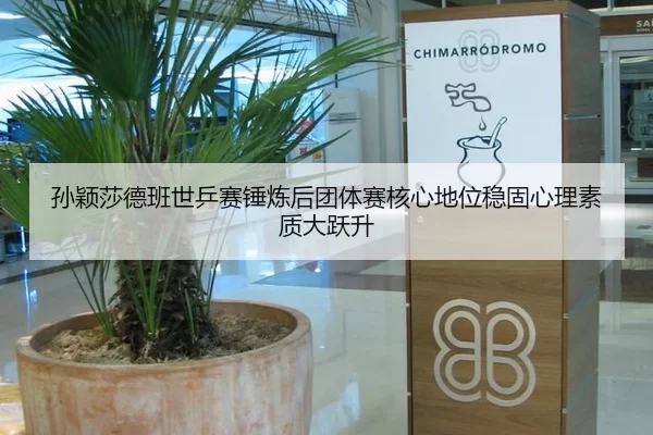 孙颖莎德班世乒赛锤炼后团体赛核心地位稳固心理素质大跃升
